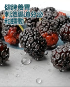 Immubiotics多元益生