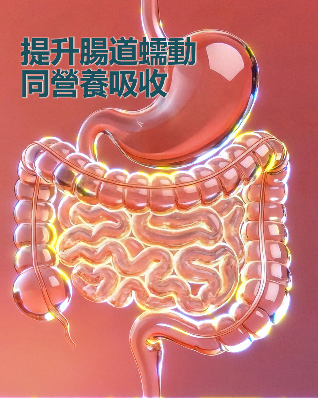 Immubiotics多元益生