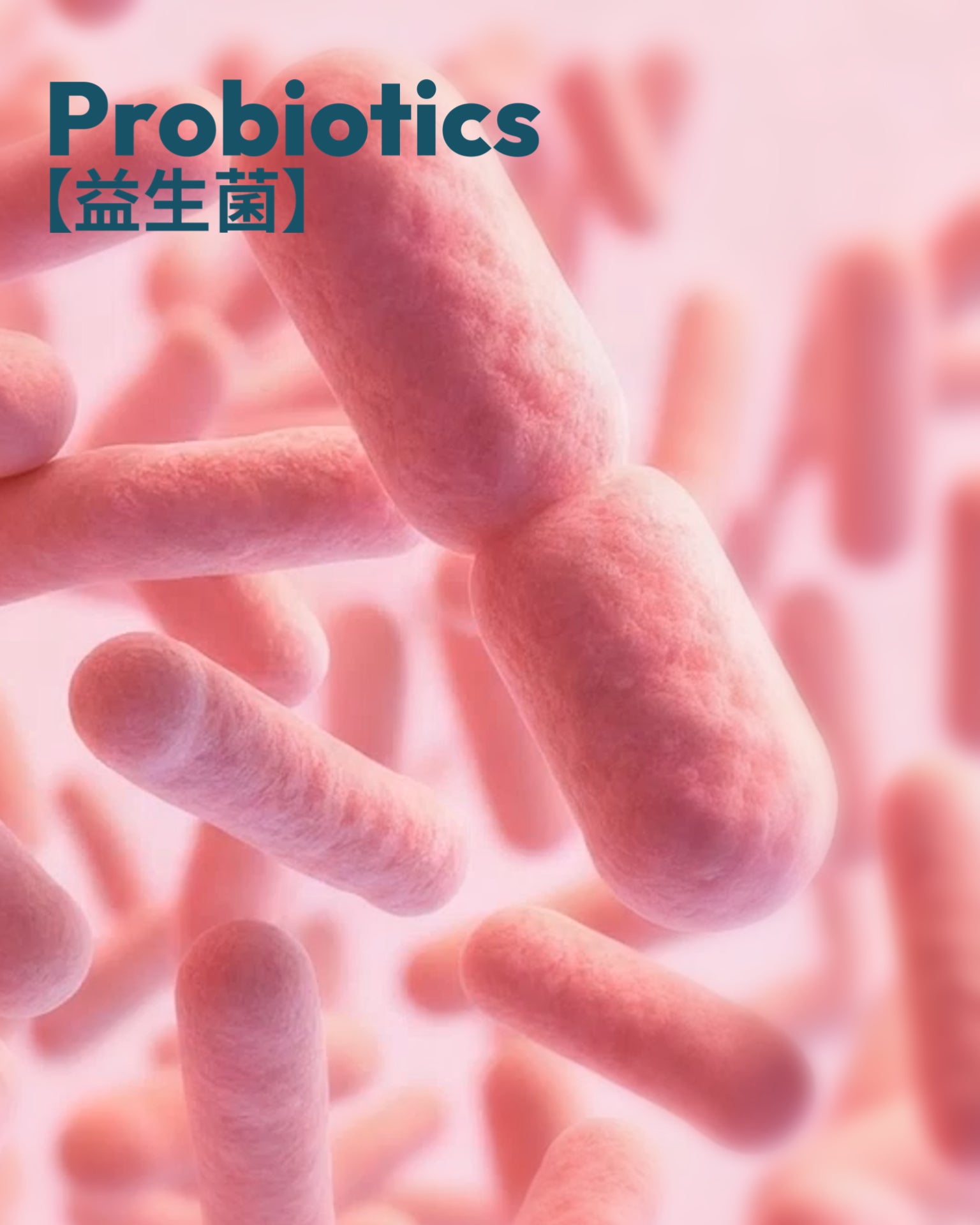 Immubiotics多元益生