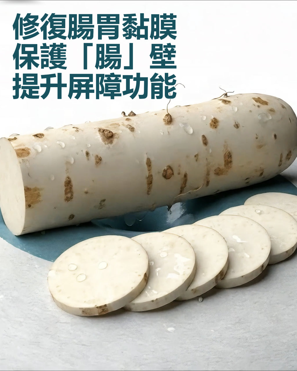 Immubiotics多元益生